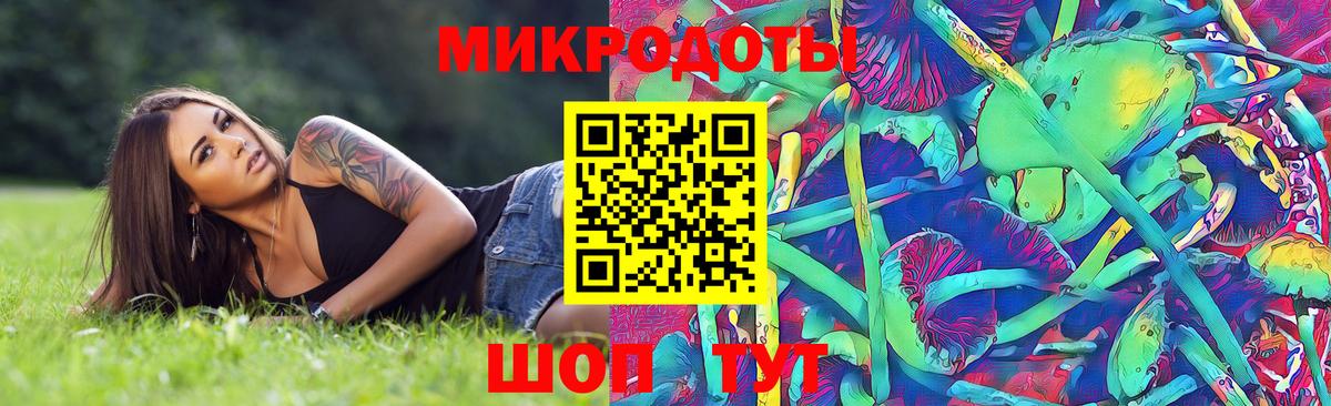 Ржев  Псилоцибиновые грибы Psilocybine cubensis  Вход с VPN 